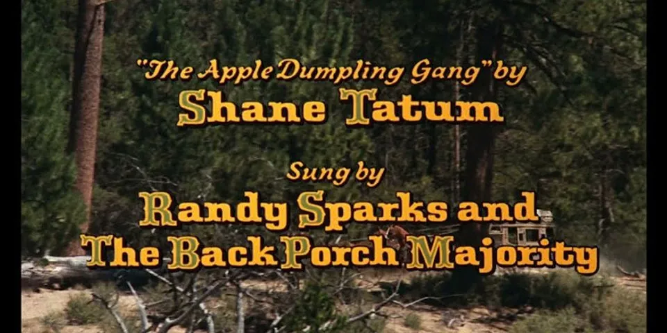 the apple dumpling gang là gì - Nghĩa của từ the apple dumpling gang