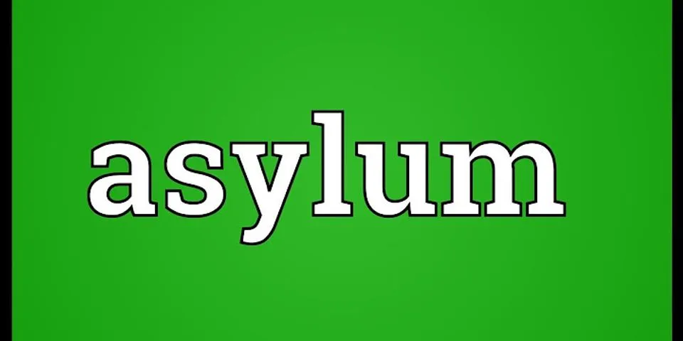 the asylum là gì - Nghĩa của từ the asylum