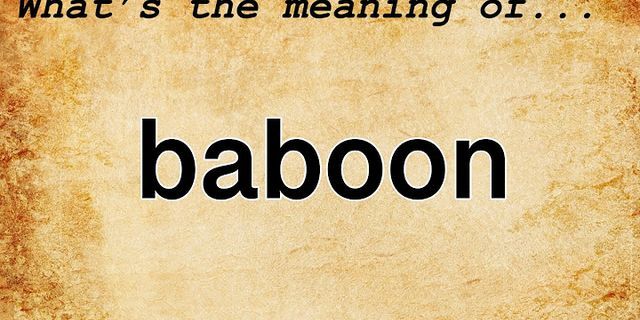 the baboon là gì - Nghĩa của từ the baboon