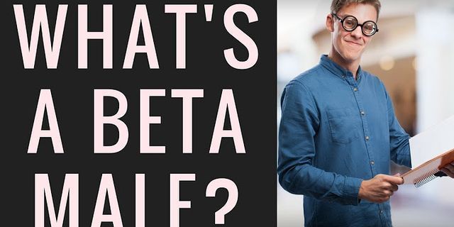 the beta là gì - Nghĩa của từ the beta