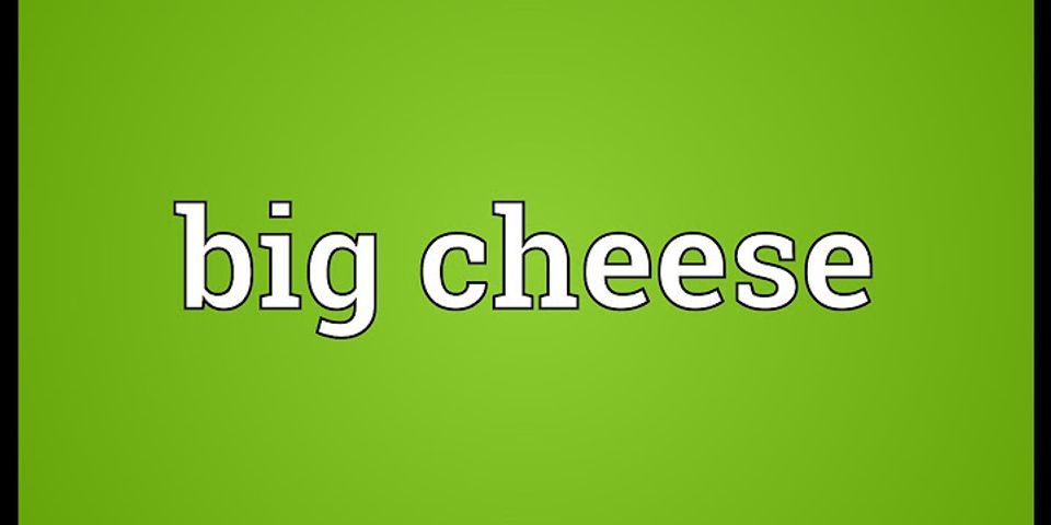 the big cheese là gì - Nghĩa của từ the big cheese