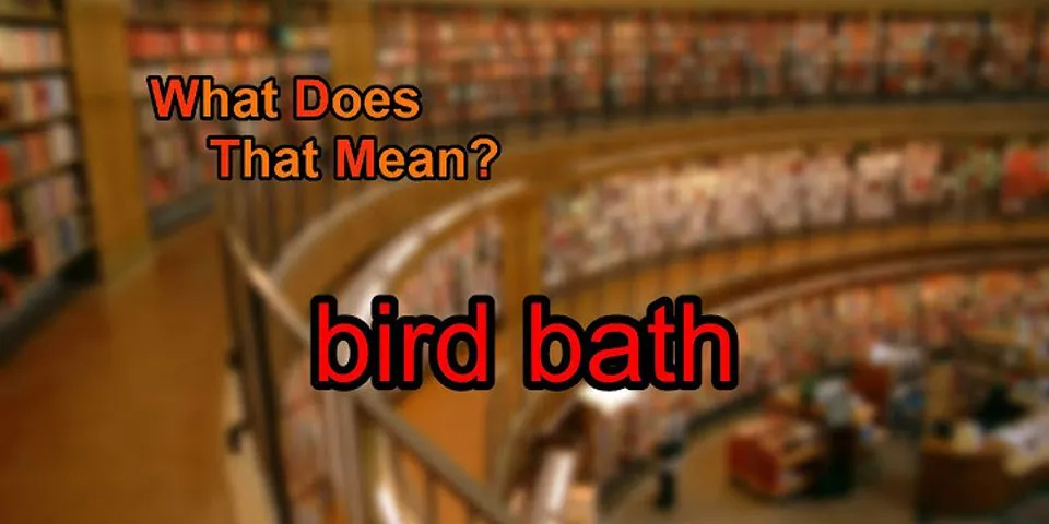 the bird bath là gì - Nghĩa của từ the bird bath