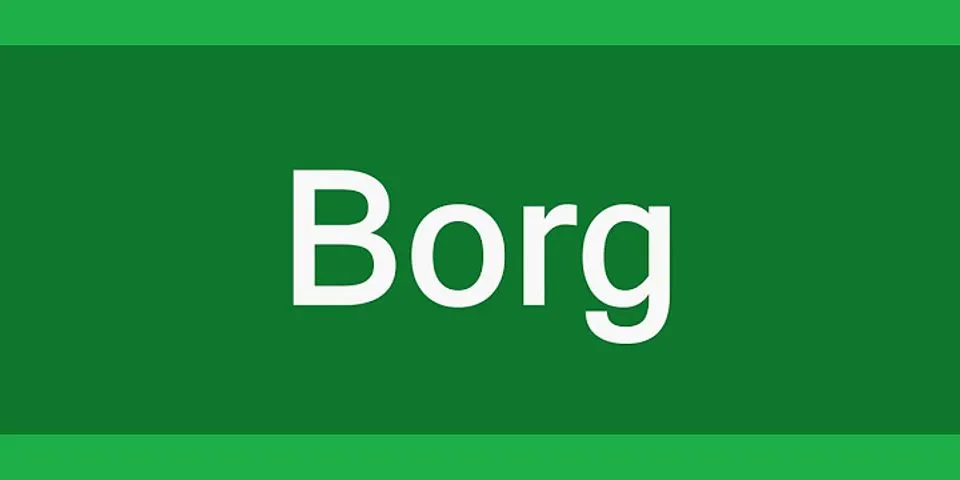 the borg là gì - Nghĩa của từ the borg