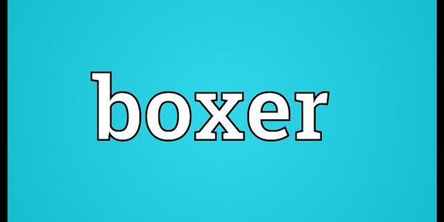 the boxer là gì - Nghĩa của từ the boxer