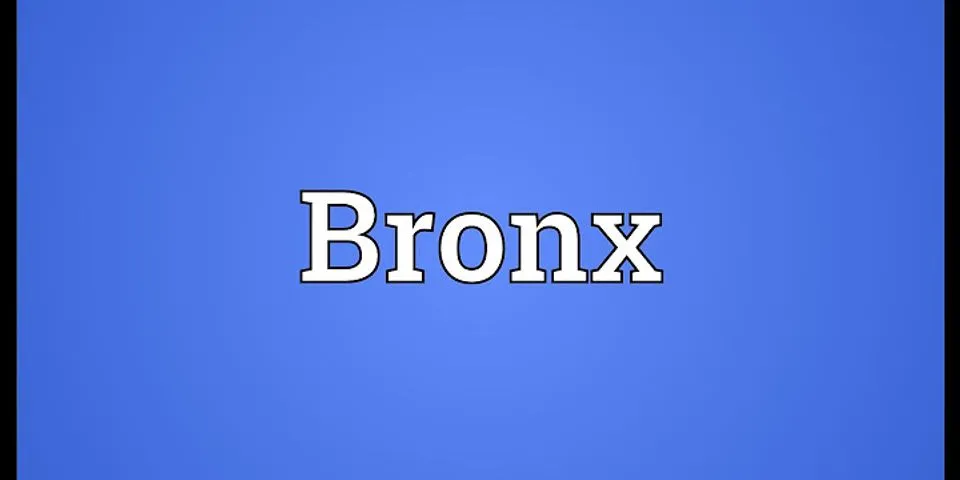 the bronx là gì - Nghĩa của từ the bronx