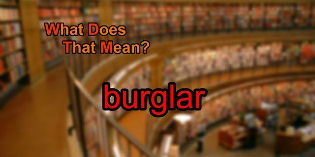 the burglar là gì - Nghĩa của từ the burglar