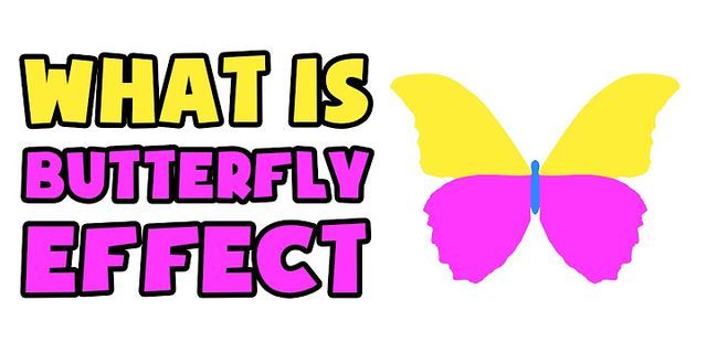 the butterfly effect là gì - Nghĩa của từ the butterfly effect