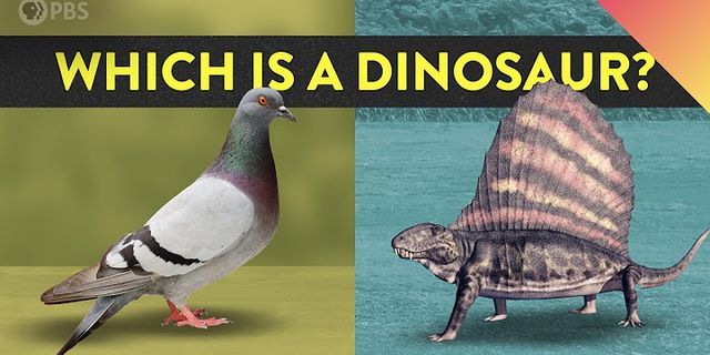 the dinosaur là gì - Nghĩa của từ the dinosaur