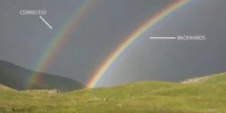 the double rainbow là gì - Nghĩa của từ the double rainbow