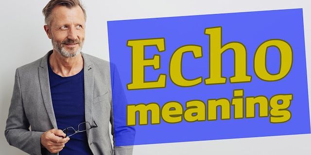 the echo là gì - Nghĩa của từ the echo