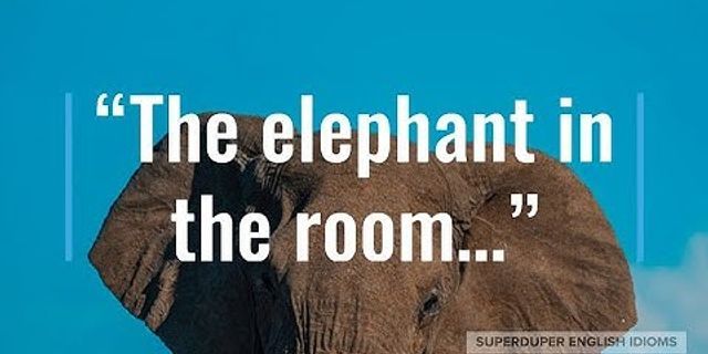 the elephant in the room là gì - Nghĩa của từ the elephant in the room