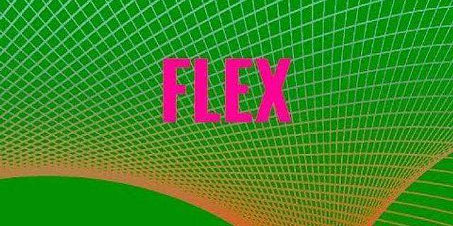 the flex là gì - Nghĩa của từ the flex