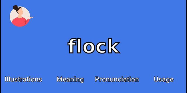 the flock là gì - Nghĩa của từ the flock