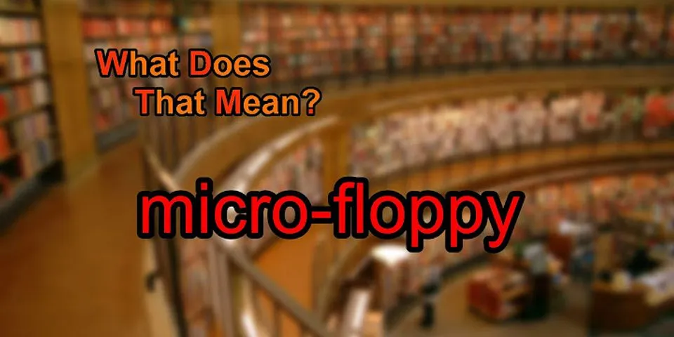 the floppy là gì - Nghĩa của từ the floppy