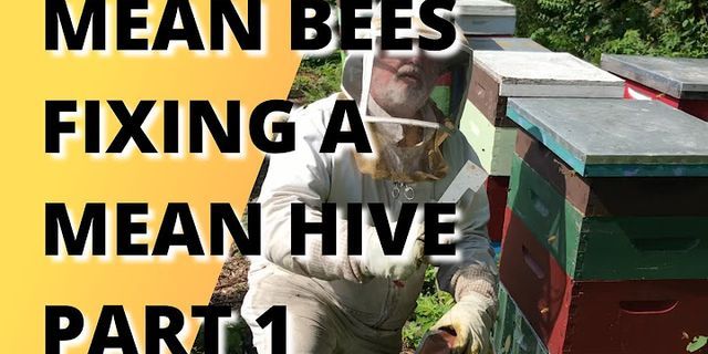 the hive là gì - Nghĩa của từ the hive