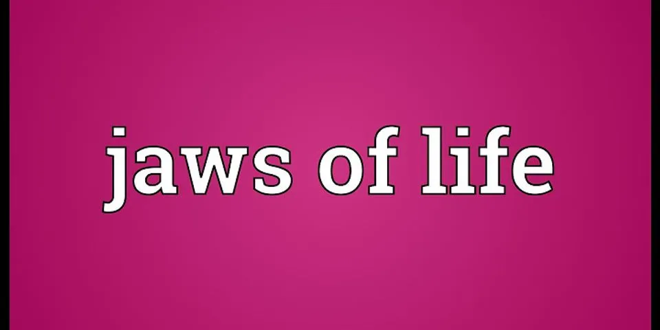 the jaws of life là gì - Nghĩa của từ the jaws of life