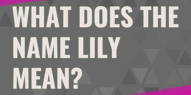 the lily là gì - Nghĩa của từ the lily
