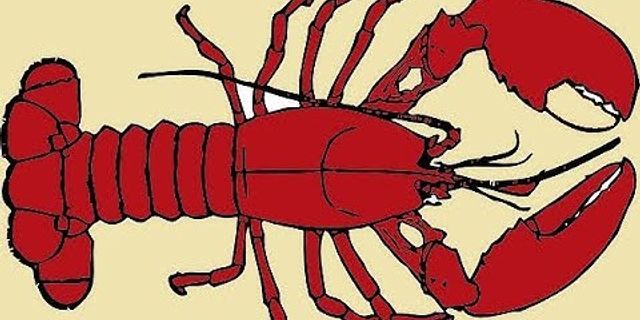 the lobster là gì - Nghĩa của từ the lobster