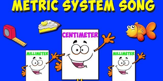 the metric system là gì - Nghĩa của từ the metric system