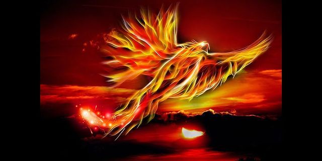 the phoenix là gì - Nghĩa của từ the phoenix