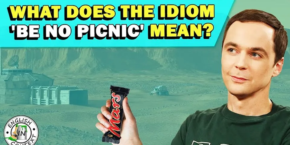 the picnic là gì - Nghĩa của từ the picnic