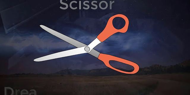 the scissor là gì - Nghĩa của từ the scissor