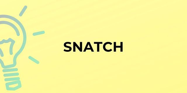 the snatch là gì - Nghĩa của từ the snatch