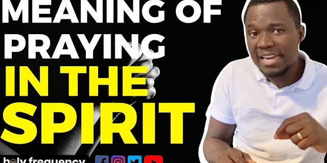 the spirit là gì - Nghĩa của từ the spirit