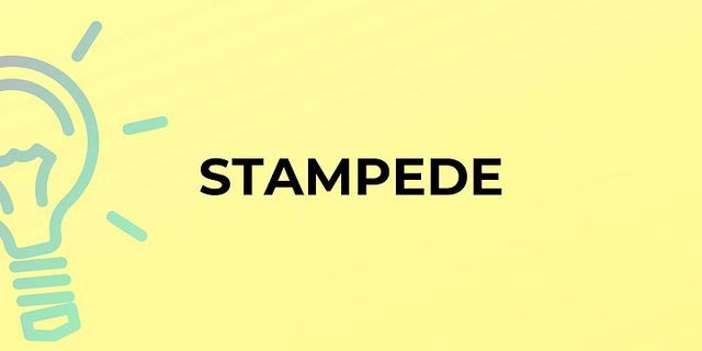 the stampede là gì - Nghĩa của từ the stampede
