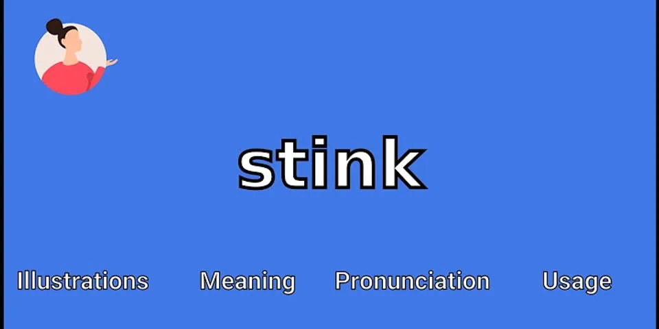 the stinky là gì - Nghĩa của từ the stinky