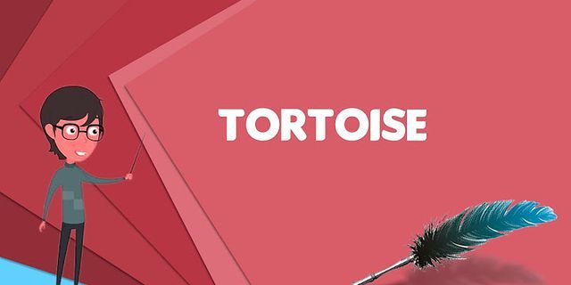the tortoise là gì - Nghĩa của từ the tortoise