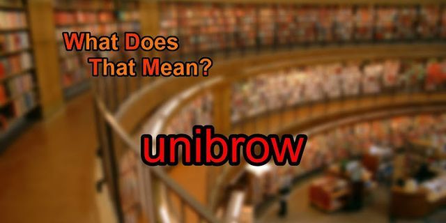 the unibrow là gì - Nghĩa của từ the unibrow