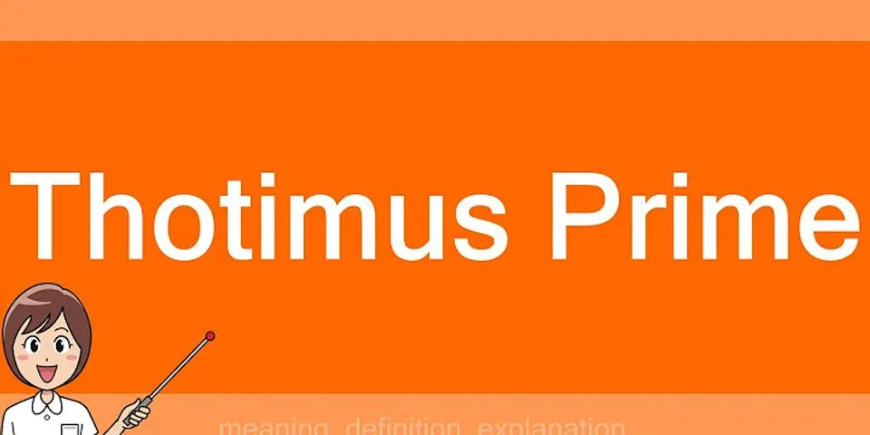 thotimus prime là gì - Nghĩa của từ thotimus prime