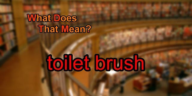 toilet brush là gì - Nghĩa của từ toilet brush