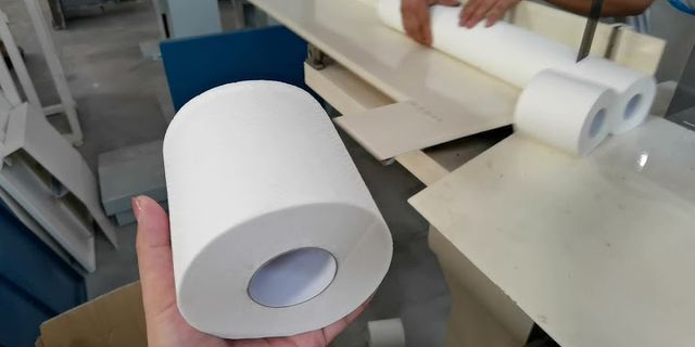 toilet papering là gì - Nghĩa của từ toilet papering