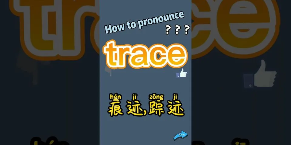 tracee là gì - Nghĩa của từ tracee