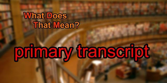 transcript là gì - Nghĩa của từ transcript