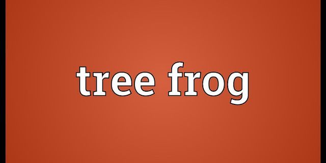 tree frog là gì - Nghĩa của từ tree frog