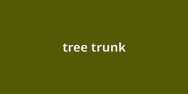 tree trunked là gì - Nghĩa của từ tree trunked