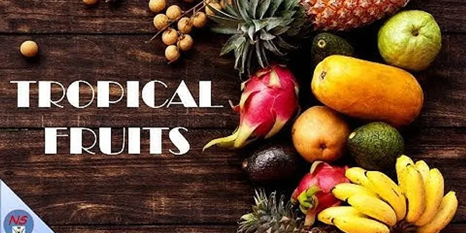 tropical fruit là gì - Nghĩa của từ tropical fruit