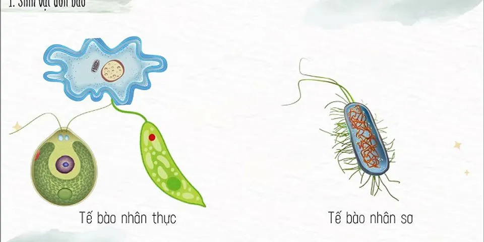 I Sinh vật đơn bào và sinh vật đa bào - từ tế bào đến cơ thể khtn 6 cánh diều