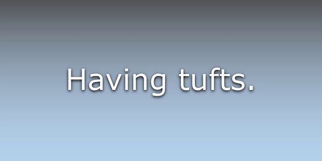 tufted là gì - Nghĩa của từ tufted
