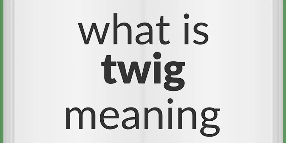 twigg là gì - Nghĩa của từ twigg