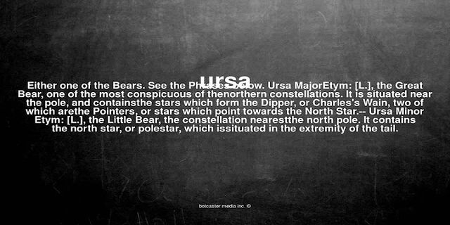ursas là gì - Nghĩa của từ ursas