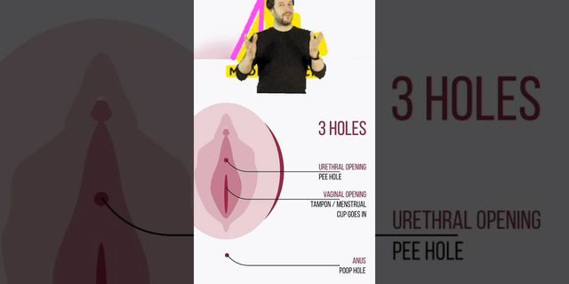vagina hole là gì - Nghĩa của từ vagina hole