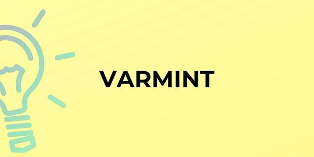 varmints là gì - Nghĩa của từ varmints