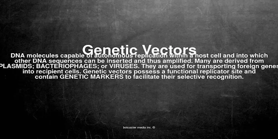vectors là gì - Nghĩa của từ vectors