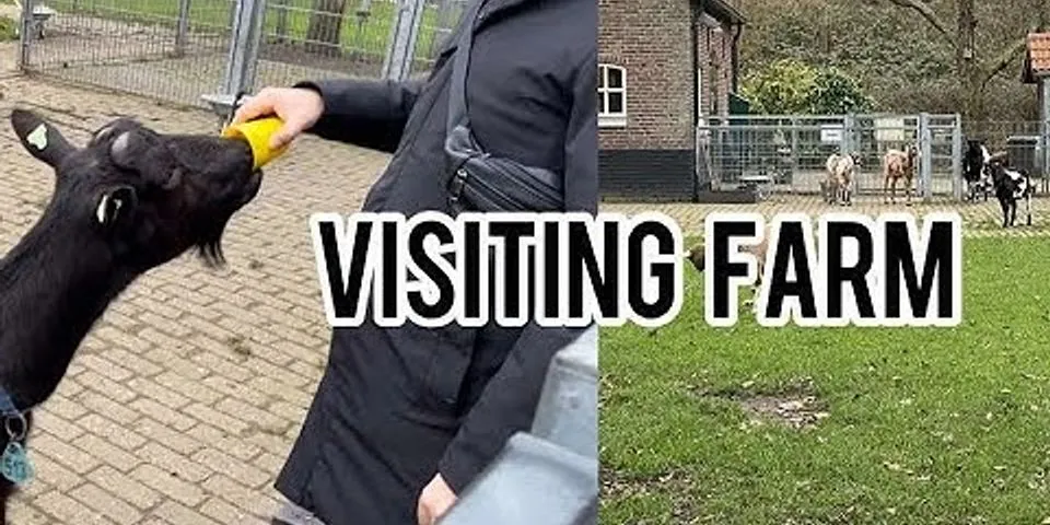 visiting là gì - Nghĩa của từ visiting