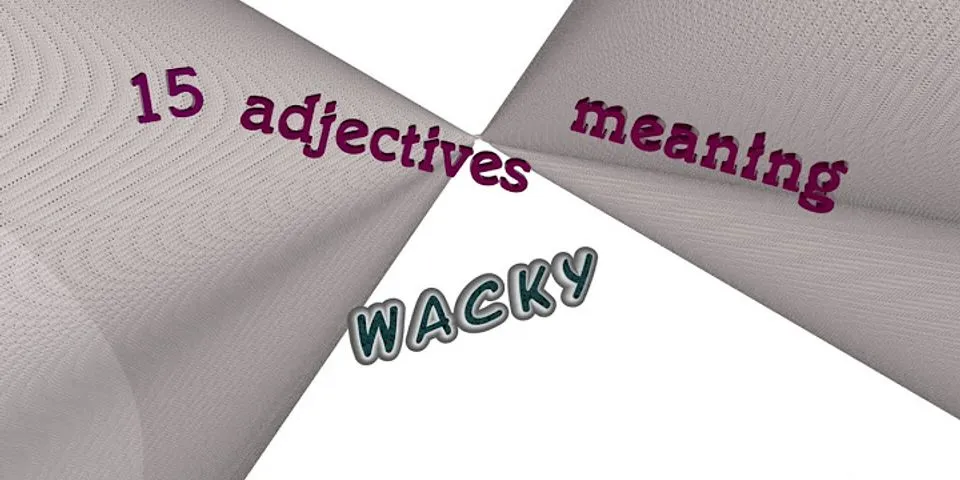 wacky là gì - Nghĩa của từ wacky