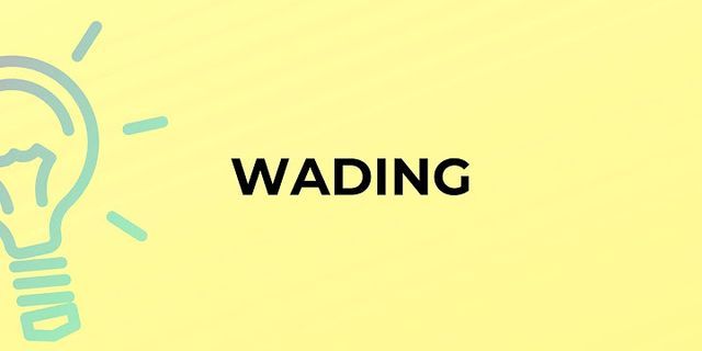 wading là gì - Nghĩa của từ wading